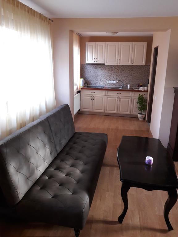 Bogdan's apartment Sibiu Bagian luar foto