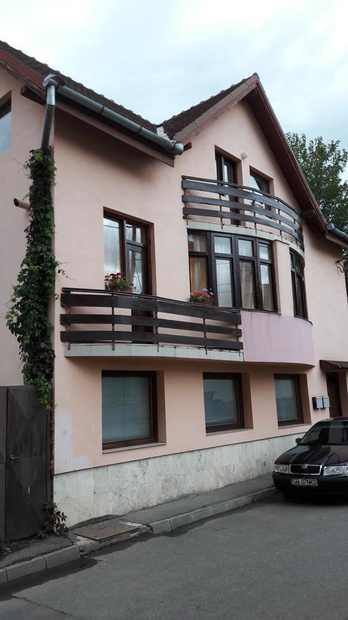 Bogdan's apartment Sibiu Bagian luar foto